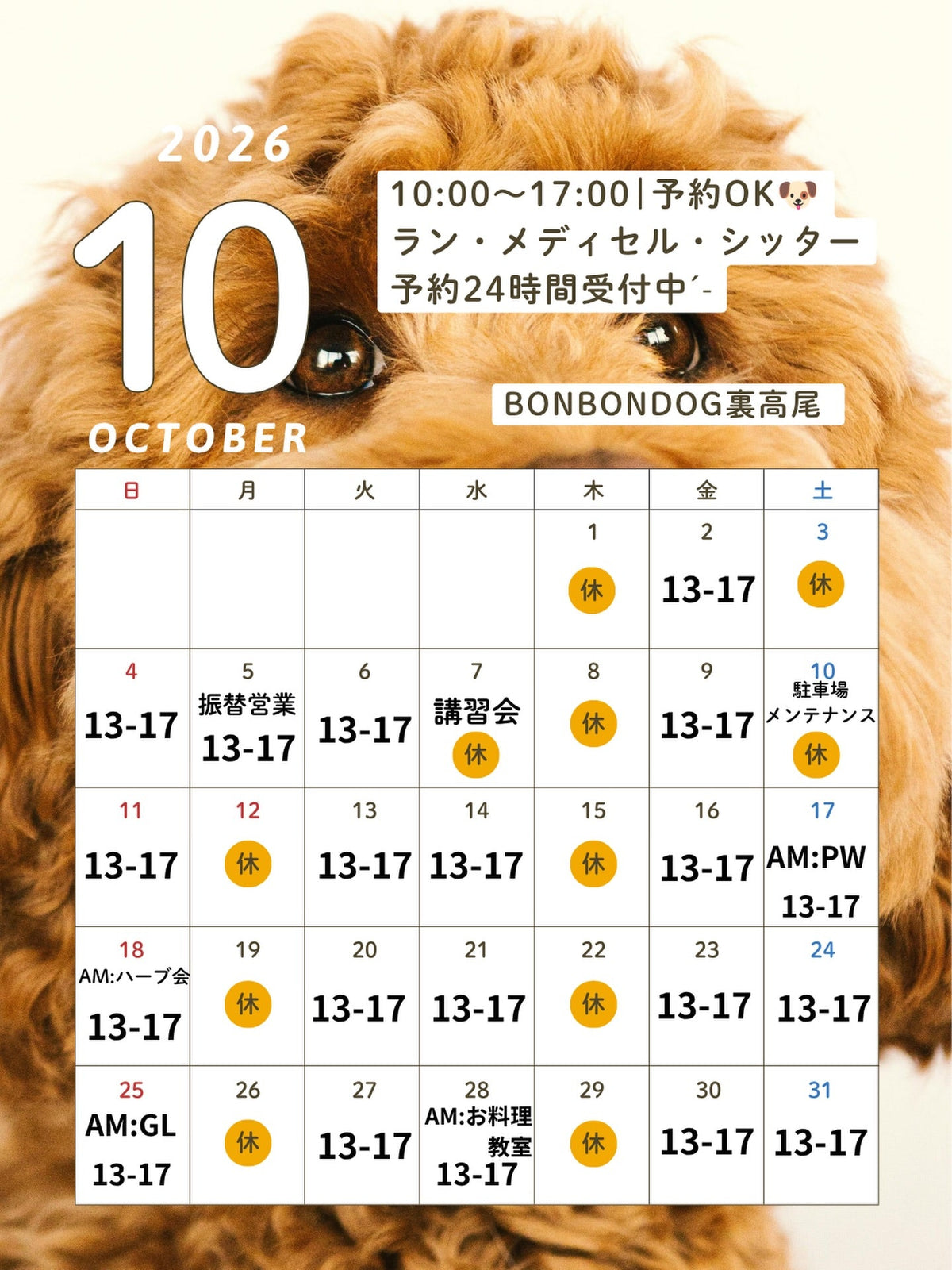 BONBONDOG 10月営業スケジュールのお知らせ🐶🐾