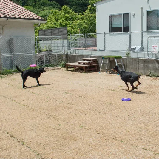 ドッグラン予約