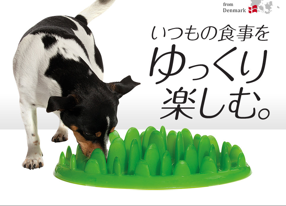 Green Feeder: Anti-Gulping Bowl