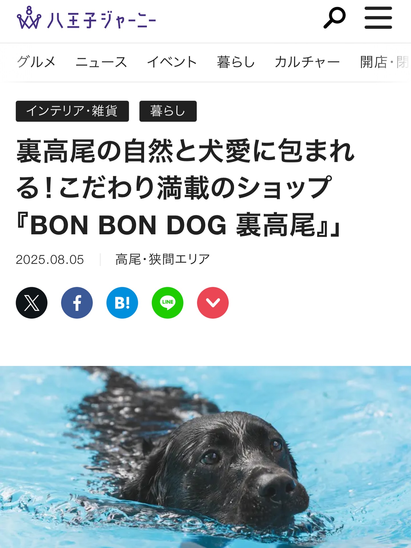 6月某日、、、👒
なんと 🌞 あの
八王子ジャーニーさんから取材のご依頼が🥹🥹🥹✨️
このたび取材していただき、大変光栄でした🙇
素敵な機会をありがとうございました🙇♀️
BONBONDOG 裏高尾 の魅力を最大限に伝えていただき
素敵な記事に仕上げていただきましたので、是非
【 八王子ジャーニー BONBONDOG裏高尾 】🔍検索
沢山の方々にご覧頂けたら嬉しいです。
最近は、犬を飼っていないけど
実家の愛犬へお土産や、お友達の愛犬へのプレゼントを選びに足を運んでくださるお客様も増えてきました😌✴️
今後もBONBONDOG 裏高尾は
愛犬家の皆さまに“安心・安全”をお届けできるよう発信してまいります🐾
大切なパートナーとの暮らしが、もっと豊かになりますように😌
#BONBONDOG
#bonbondog
#ボンボンドック
#八王子
#高尾
#裏高尾
#ドッグスペース
#コイヤーグラウンド
#ワンちゃんの為のお店
#大型犬多頭飼い
#大型犬のいる暮らし
#八王子の犬のお店
#大型犬と遊べる
#大型犬と赤ちゃん
#ラブラドールレトリバー
#ドーベルマン
#リットハウラー
#littohowler
#truelove
#benatural
#サンデーペッツ
#みちのくファーム
#sdg
#アウトドア
#トレラン
#犬のプール
#dogpool
#ライフジャケット
#八王子ジャーニー