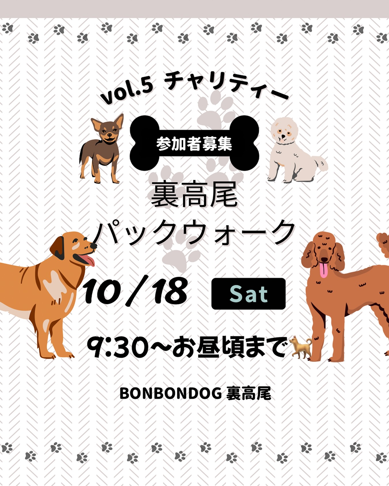 秋のパックウォークお知らせです💁♂️
✳️満員御礼✳️9/18〆切
11月の開催もお楽しみに🙏
パックウォークとは、複数の犬と飼い主が一体となって
「群れ(パック)」として一緒に散歩するトレーニング方法です。犬本来の群れ行動の感覚を呼び起こし、犬の社会性を高めたり、犬見知りや引っ張りなどの問題行動のリハビリをしたりすることを目的とします🌎
🎃チャリティーパックウォークvol.5🎃
■10月18日(土) 9:30から
▪️参加費¥2.000
2頭目以降は1頭¥1.000
🐶ワンちゃんのおやつ付き🦴
bonbondog 裏高尾がドッグトレーナと共に
裏高尾をご案内します🐕 ͗ ͗
当日お買い物も可能です🛒➰
▪️コース
BONBONDOG 裏高尾 9:30発
裏高尾をパックウォーク🐕♩
■ 昼食
12時半頃BONBONDOG到着予定
𓌉𓇋 ご希望の方のみ
八王子でとびきり美味しいブリトー🌯 @munchies__tokyo さんによるケータリングが
可能となります🤝(ブリトー¥1200)
BONBONDOGドッグラン内や
お車、広場等でブリトーのお食事が可能です!
✳️申し込み時にブリトー希望の方は個数入れてご応募ください。
【⠀申込時入力項目 】
①飼い主様のお名前
②参加人数 & 参加頭数
③犬種
④車の台数
⑤ブリトー個数
■ 持ち物
・お散歩グッズ
・飼い主様のお飲み物
動きやすい服装、足元でお越しください👍
■ 駐車場の上限があるので13台までの募集となります。
※頭数制限ないので、相乗りで来れる方はご協力の程宜しくお願いします🙏
小型犬〜大型犬OKです。
私達が信頼するドッグトレーナーも同行予定です✨️
尚、パックウォークを目的とする頭数になりますのでランでのノーリードはご遠慮くださいm(_ _)m
参加費の一部を保護団体様へ寄付させていただきます!
DMにてご応募お待ちしております!!
ご質問あればお気軽にコメント、DMください^^
#BONBONDOG
#bonbondog
#八王子
#高尾
#裏高尾
#ワンちゃんの為のお店
#大型犬多頭飼い
#大型犬のいる暮らし
#八王子の犬のお店
#大型犬と遊べる
#大型犬と赤ちゃん
#ラブラドールレトリバー
#ドーベルマン
#littohowler
#truelove
#benatural
#サンデーペッツ
#みちのくファーム
#sdg
#アウトドア
#トレラン
#dogpool
#チャリティー
#イベント
#パックウォーク
#山ん歩
#定員あり