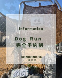 皆様に大事なお知らせ💁‍♂️

✴️１１月からドッグスペースが完全予約制となりますˊ˗

🟩営業日の午前中はラン＆お買い物も完全予約制です。

午前中の予約に関して出来る限り対応させて頂きますので、DMにてお問い合わせください🤝

✴️お買い物ある方も無い方も一律ラン料金発生しますˊ˗

🟩１時間単位でご予約が可能 ／ １頭 ¥300 (1h)

🟩通常営業日は  １３：００~１７：００
お買い物は営業時間内予約無しでご利用くださいˊ˗

お手数ですが、ドッグスペースは事前にDMにて空き時間のお問い合わせ、予約をしてからご利用ください🐶🐾

安心して遊べるように、
愛犬のみで伸び伸び遊ばせたり、お友達同士だけで遊ばせたい方や、諸事情によりワクチンを接種できない犬や、他犬が苦手な犬etc.....

安全性の高いドッグスペースとして、より多くの愛犬家さん達に利用して頂けますように完全予約制となります🌎

勿論、お買い物時に誰も使っていないときは
ご利用くださいませ.ᐟ.ᐟ😌

来年には予約システムも導入予定となります！今はお手数ですがDMにてご予約宜しくお願い致します。🙇‍♂️🙇‍♀️

 #bonbondog