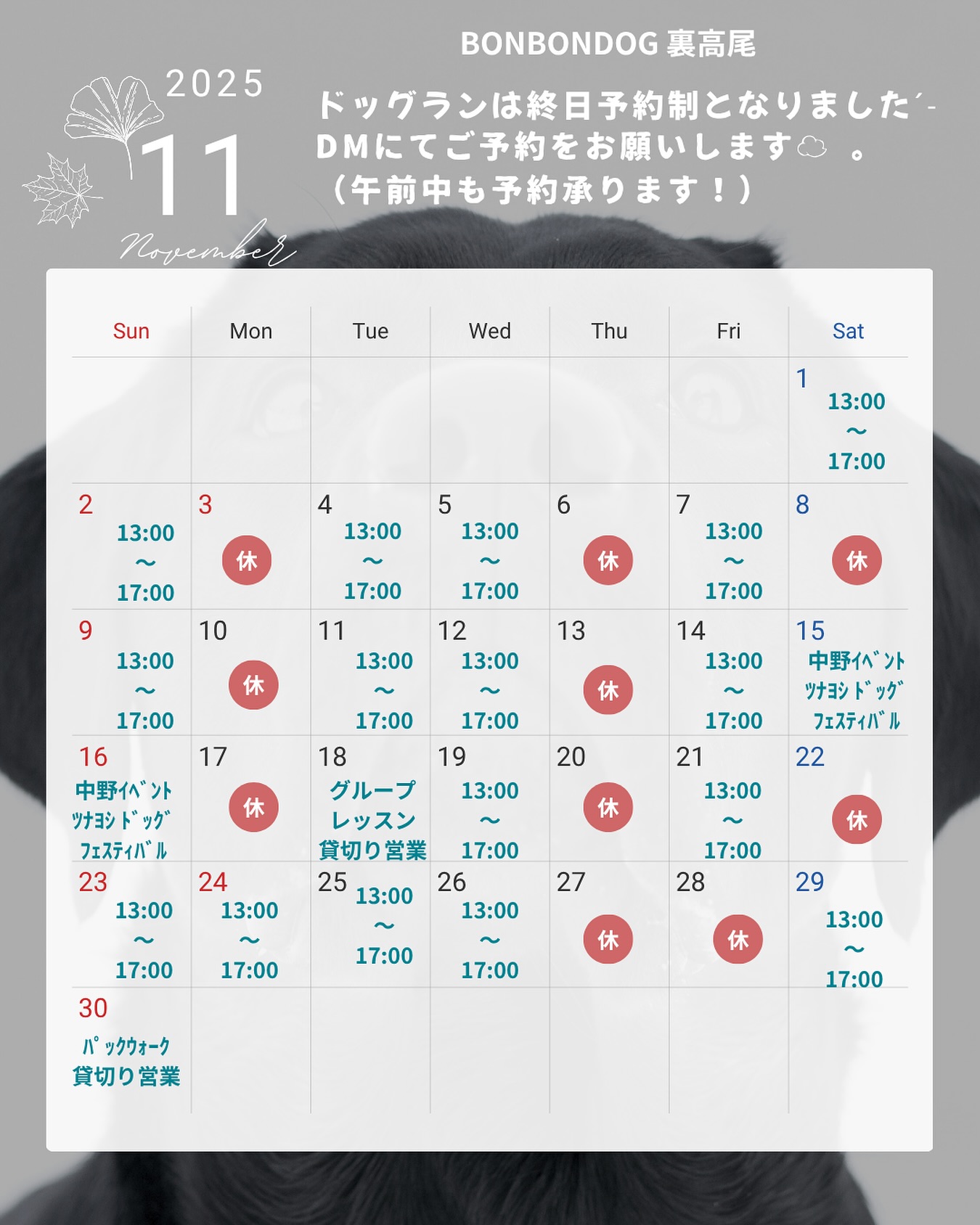 11月営業カレンダー🐑﹡𓂃꙳⋆
✴️11月からドッグスペースが完全予約制となります✴️
✴️営業日の午前中はラン&お買い物も完全予約制✴️
午前中の予約に関して出来る限り対応させて頂きますので、DMにてお問い合わせください🤝
🕔1時間単位でご予約が可能 / 1頭 ¥300 (1h)
営業日時間が記載のある日
13:00~17:00
お買い物は営業時間内予約無しでご利用いただける日ˊ˗
お手数ですが、ドッグスペースは事前にDMにて空き時間のお問い合わせ、予約をしてからご利用ください🐶🐾
小さい犬も 大きい犬も
安心して遊べるように、愛犬のみで伸び伸び遊ばせたり、お友達同士だけで遊ばせたい方や、
諸事情によりワクチンを接種できない犬や、他犬が苦手な犬etc.....
安全性の高いドッグスペースとして、より多くの愛犬家さん達に利用して頂けますように✩⡱
勿論、お買い物時に誰も使っていないときは
ご利用くださいませ.ᐟ.ᐟ😌
11月も宜しくお願い致します🐿🍁🍂
#BONBONDOG