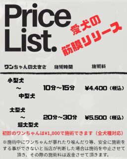 筋膜リリースとは˖ ࣪⊹
筋肉を包む「筋膜」のよじれや癒着をやさしく解放し、
体本来の動きを取り戻すケアです。
血流やリンパの流れを促し、可動域の改善・疲労回復・こわばりの緩和が期待できます。
シニア犬、運動量の多い子、歩き方が気になる子のボディケアとして、負担の少ない優しい施術となります。
病院が嫌いな犬は少なくありません。
ケガや病気になる前に、メディセルでしっかりケアして
病院に行かなくても良い体を目指しましょうˊ˗
不調を治す施術ではありません。
身体を本来の状態に戻す施術ですˊ˗
うちのlei ラブラドール 5歳は
腰を痛めて動き出しに痛い声を出す事がありました。
原因は不明。恐らく、日常での段差乗り降りや、寒さ、犬同士でのじゃれ合い等で腰に負担がかかって腰にきてしまったのか,,,言葉が話せないから本当にもどかしい数日間でした。
お医者さんから痛み止めを処方され、数日で治りましたが、またいつそうなるか分かりません。
犬は人間のようにストレッチができません。
ケガ(痛み)に繋がらないように、日頃からメディセルで筋膜をほぐして血流を流し、体の可動域を広げておく癖をつけておくと、ケガや病気に繋がりにくい身体を目指せます✴️
解せば解すほど、持続します✨️
飼い主さんしか愛犬を守る事はできません。
兎に角触ってください。
張っている箇所、触ると気にする箇所はないか、
メディセル施術後の嬉しい変化の声が沢山聞かれます😌
・体がフワフワ、柔らかい。
・体がポカポカ暖かい。
・耳先が冷たかったのに暖かくなった。
・テンションが上がって元気になった。
・夜しか寝ないのに寝落ちしていた。
・水を沢山飲むようになった。
・兄弟犬を追いかけるようになった。
etc.....
2026年も愛犬さんの健康寿命をのばせるようお手伝いさせて下さい🐶
初回のみ¥1.000 メディセル体験実施中です✴️
予約システム導入までは
DM.公式LINEよりご予約、ご質問受け付けております🙇♀️
#メディセル
